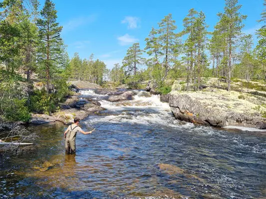Tenkara Angeln – einfach erklärt   - Tenkara Angeln: Der komplette Guide für deinen Einstieg