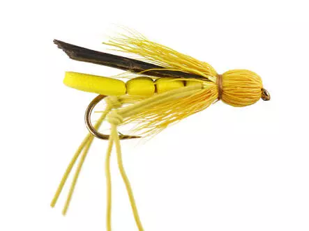 Henrys Fork Hopper