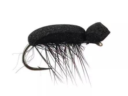 Tonis Foam Beetle