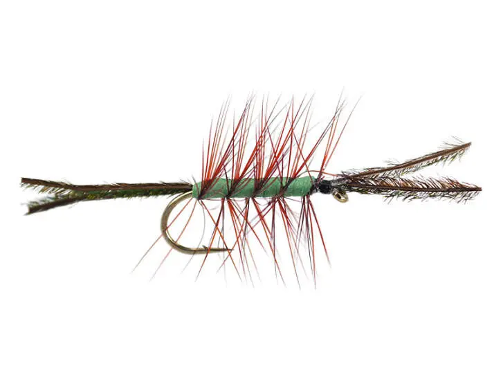 Foam Cata Pillar Green