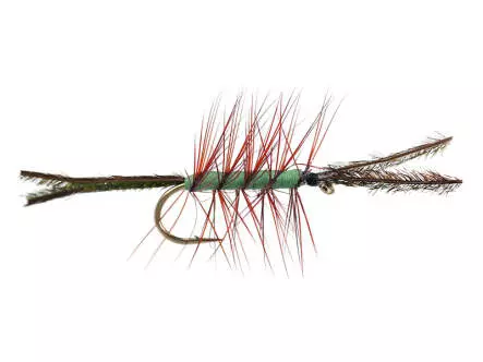 Foam Cata Pillar Green