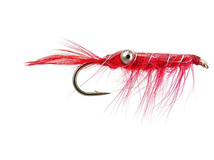 Crab Red