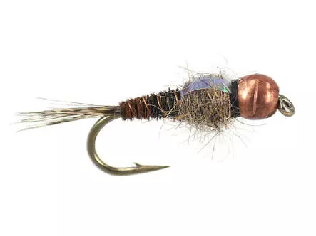 TG Wb Pheasant Tail