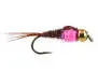 TG Tactical Pheasant Tail Pink Collar