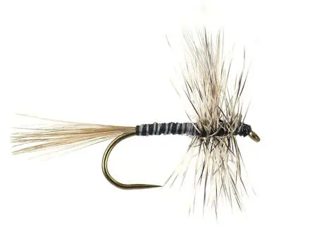 Mosquito BL 14
