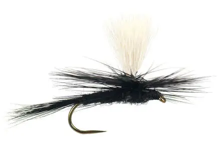 Parachute Black Gnat BL 12