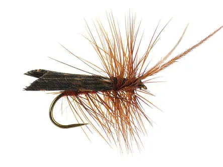 Brown Horned Roof Wing BL 16