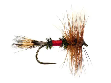 Royal Wulff BL 12