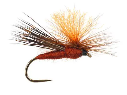 High Viz Parachute Caddis Brown BL 10