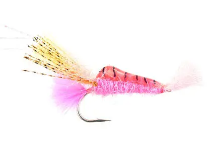 Standing Shrimp Pink 6