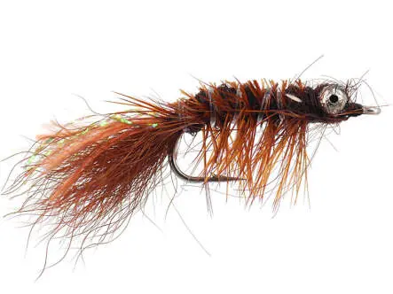Spawning Shrimp Brown 10