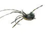 Leggy Critter Olive 6