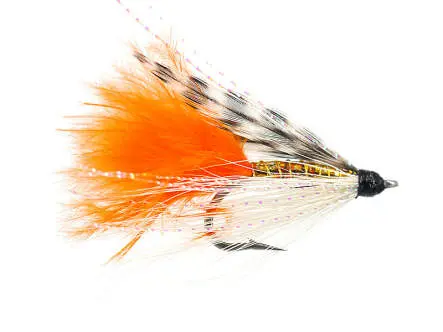 Bonefish Special 6