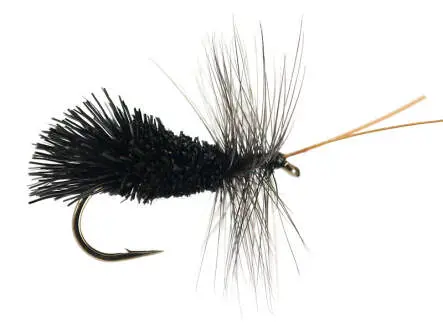 Godards Caddis Black 12
