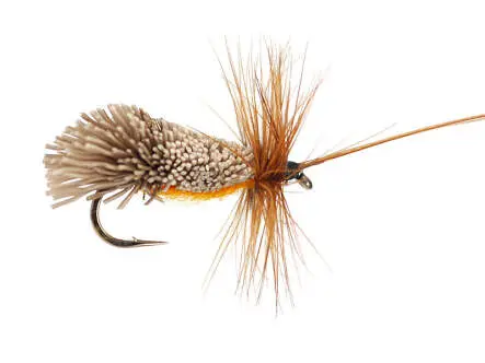 Goddards Caddis Orange 12