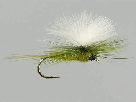 CDC Parachute Olive 12