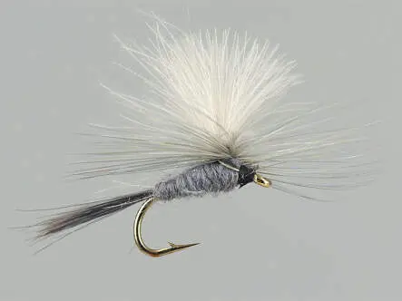 CDC Parachute Grey 14