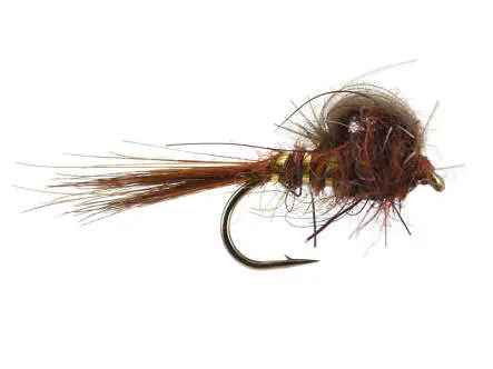 CDC Loop Emerger Brown 16