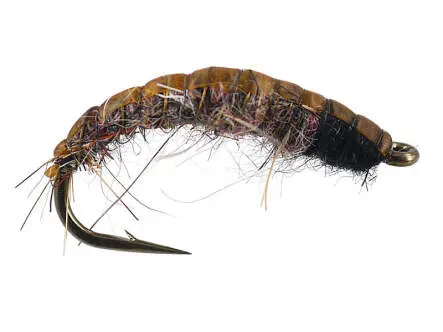 Dark Natural Czech Nymph 8