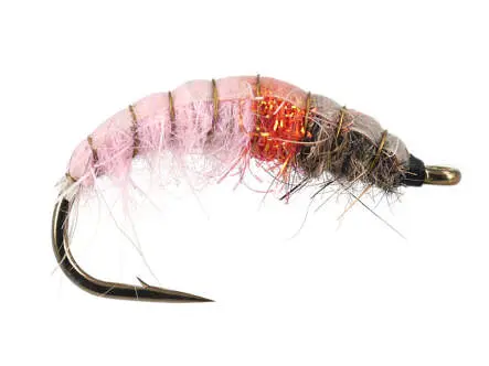 Czech Pink Lady 8
