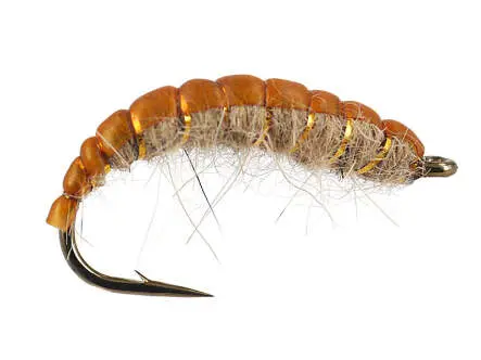 Natural Czech Nymph 12