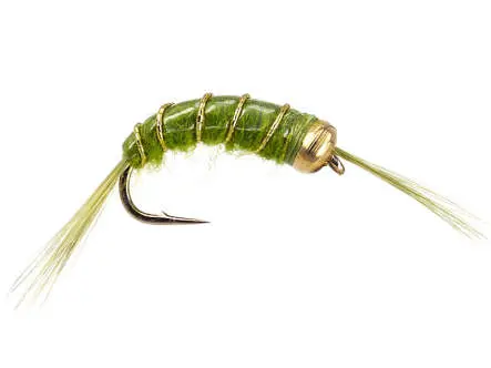 Scud Olive 10