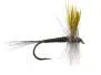 Quill Gordon 12