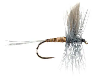 Blue Quill 18