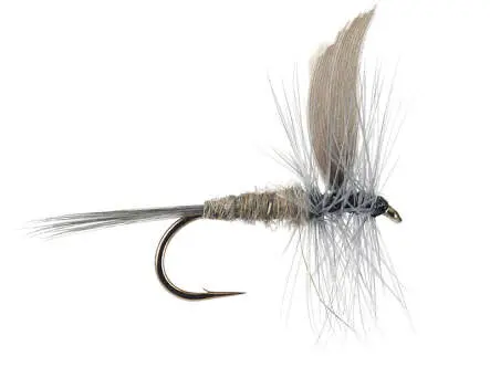 Blue Dun 16