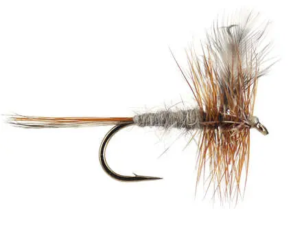 Adams 14