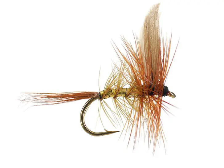 Wickhams Fancy 12
