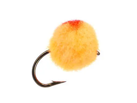 Egg Orange 6