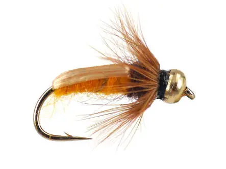 Amber Nymph 10