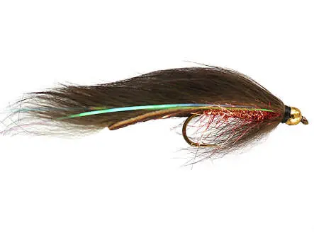 Bright Beaded Zonker Brown 8