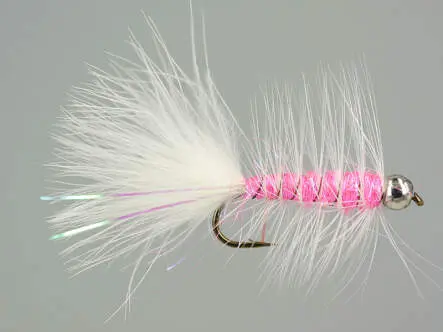 W.B. Bright Pink Competition 6