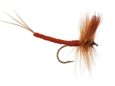 Brown Drake Extended Body Mayfly 10