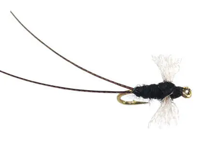 Tricorythodes Dun 20