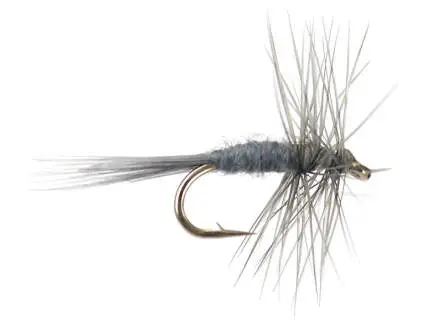 Midge Dun 16