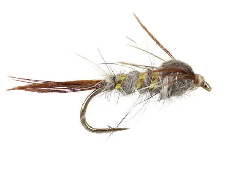 A.P. Medium 12