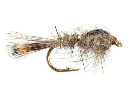 Gold Ribbed Hares Ear 12