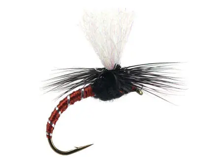 Klinkhammer Brown Black 10