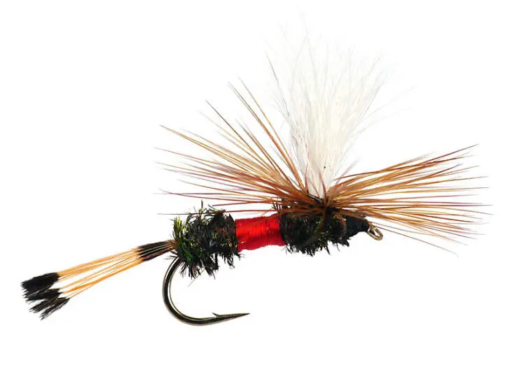 Royal Coachman Parachute 14