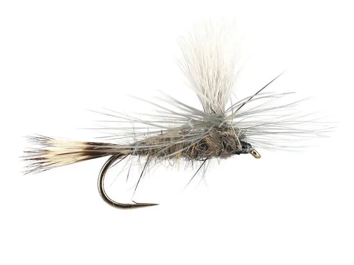 Hares Ear Parachute 16