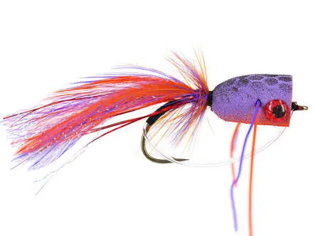 Purple Clown Superb Popper 4