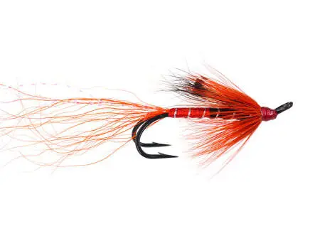 Ally Shrimp Orange 4