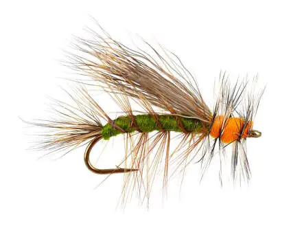Stimulator Olive 12