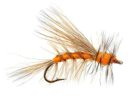 Stimulator Orange 10