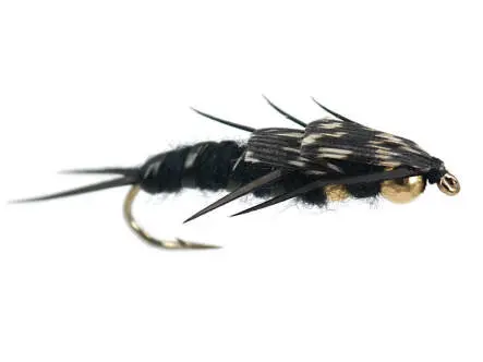 Double BH Black Stonefly 6