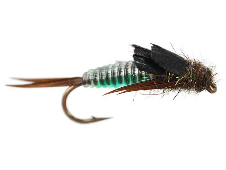 Green Heavy Bodyglass Stonefly 8