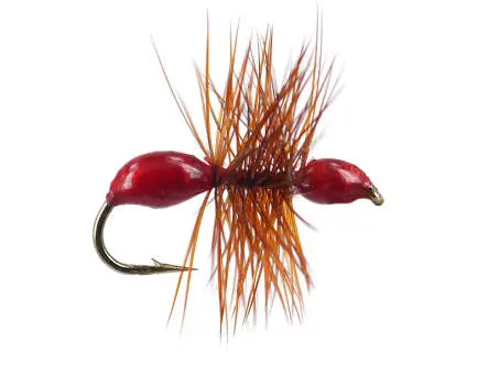 Hard Body Red Ant 12
